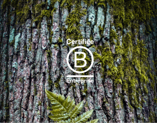 Nature & Découvertes • Certification B. Corp Nature & Découvertes • Certification B. Corp
